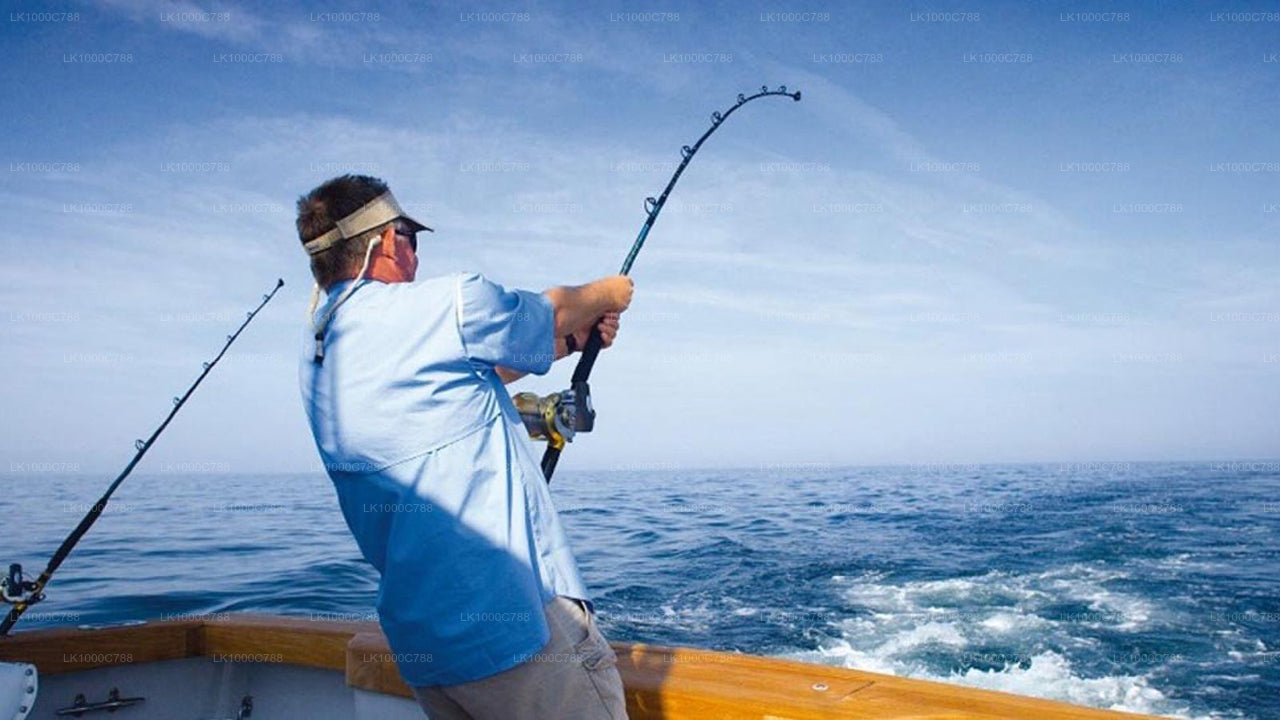 Dolphin Watching, Snorkeling, and Fishing Combined Tour at Trincomalee