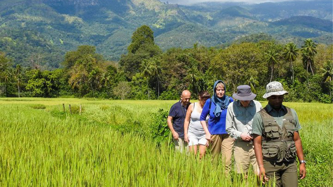 Hållbar tur (10 dagar)