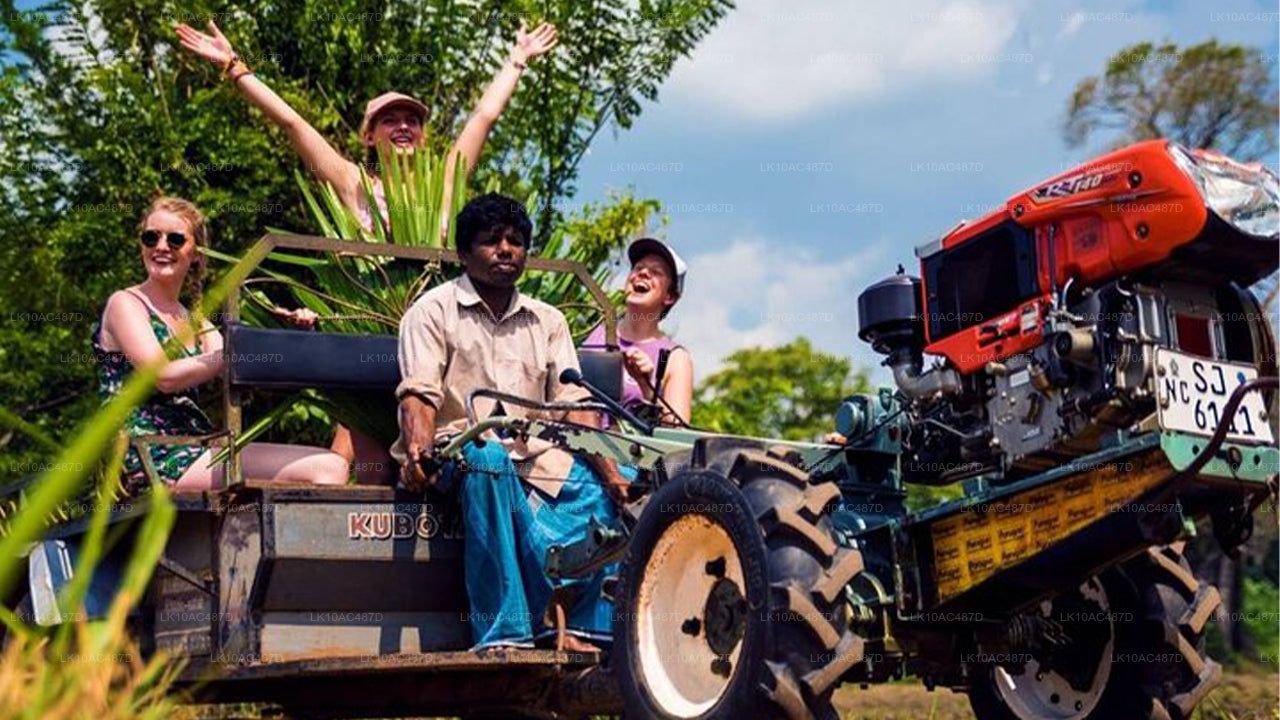 Hållbar tur (10 dagar)