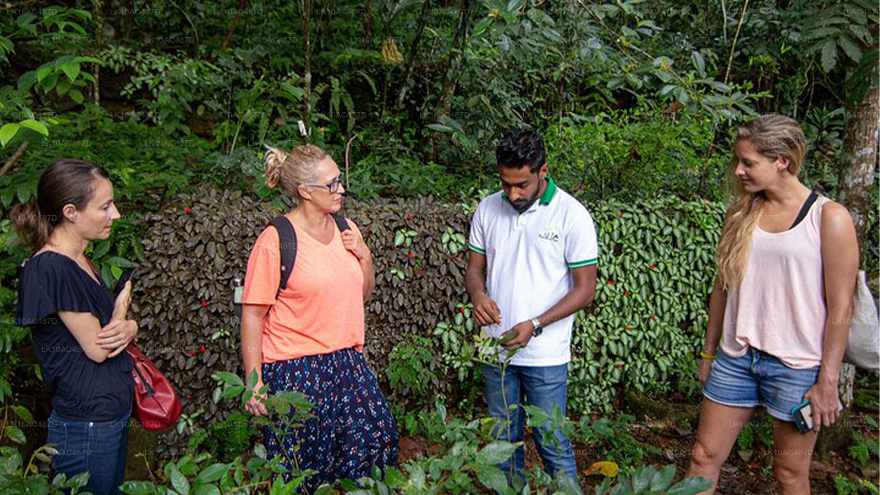 Hållbar tur (10 dagar)