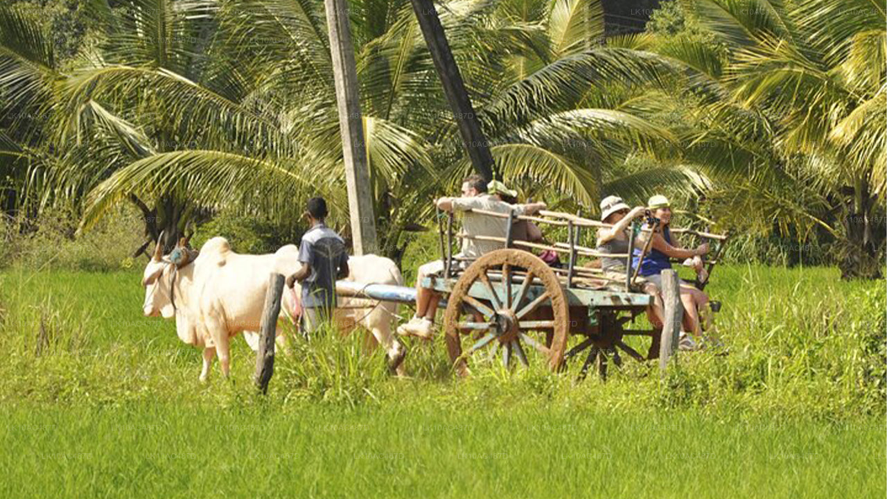 Hållbar tur (10 dagar)