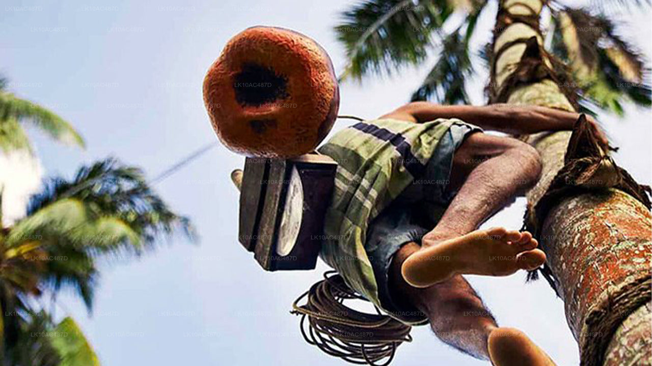 Hållbar tur (10 dagar)