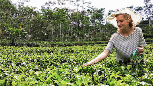 Hållbar tur (10 dagar)