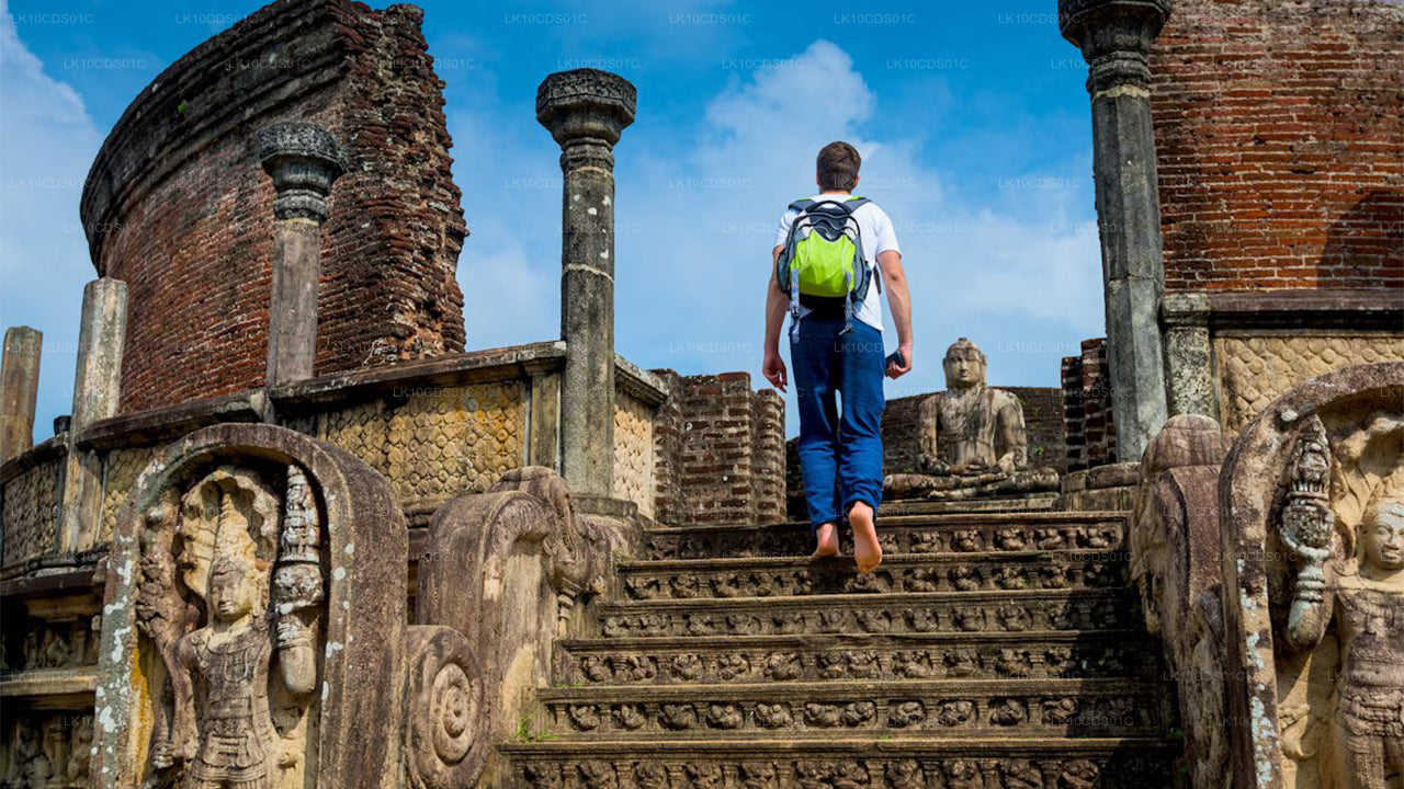 Sri Lankas höjdpunkter med tåg (12)