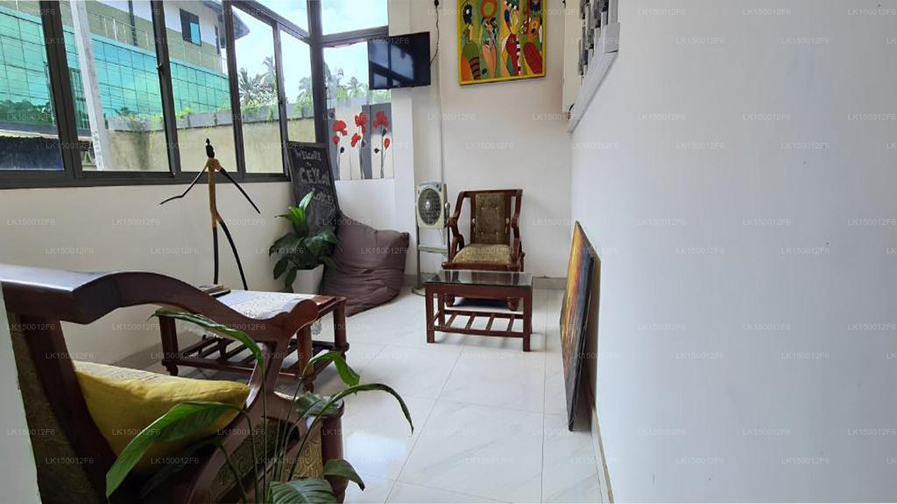 Ceylon Lodge - Airport Transit Hotell & Vandrarhem, Negombo