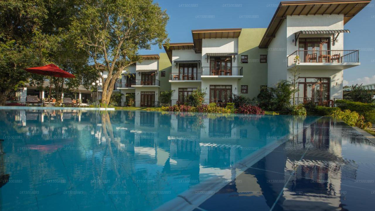 A poolside view of Wewa Addara Hotel in Sigiriya, featuring a large blue pool with a white and green hotel in the background.