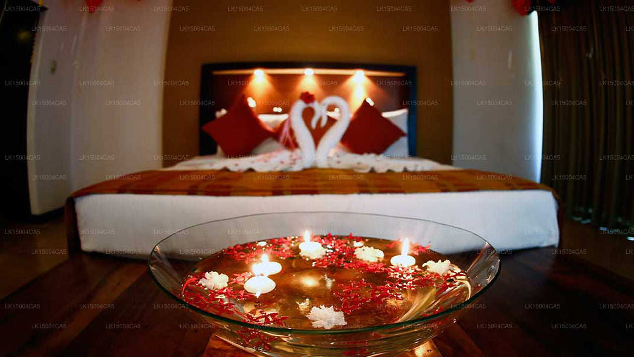 Pegasus Reef Hotell, Wattala