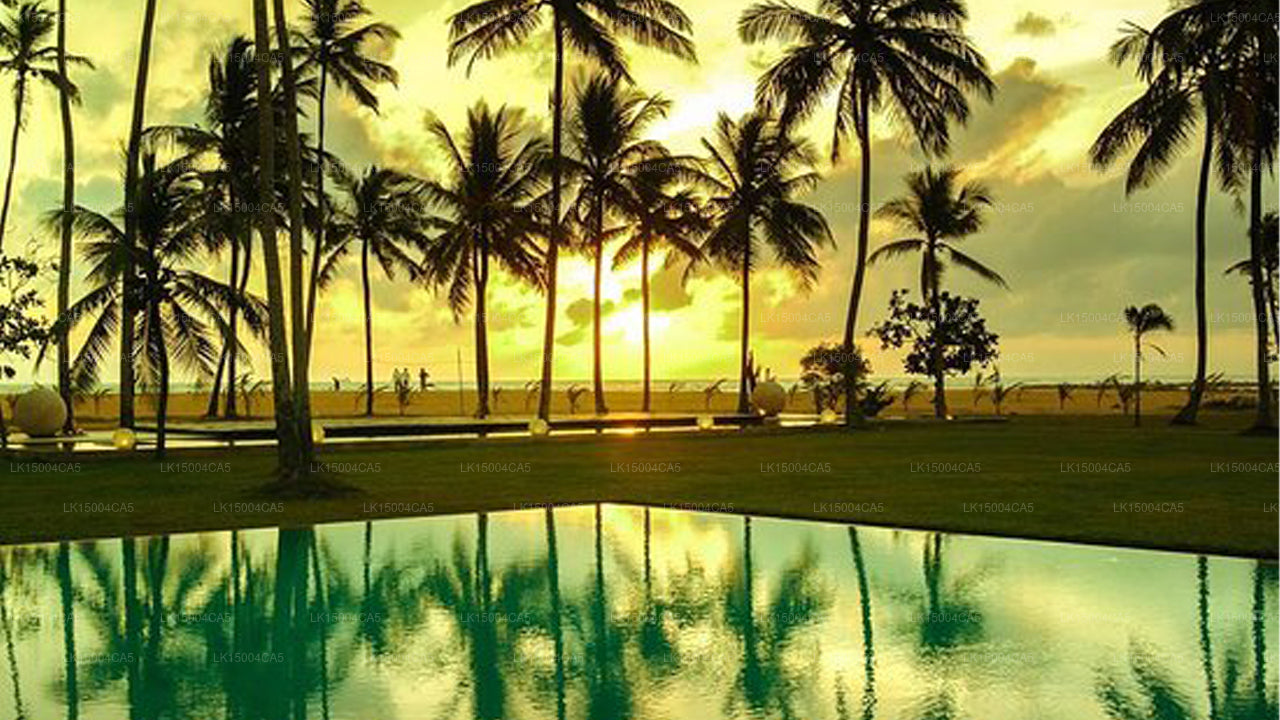 Pegasus Reef Hotell, Wattala