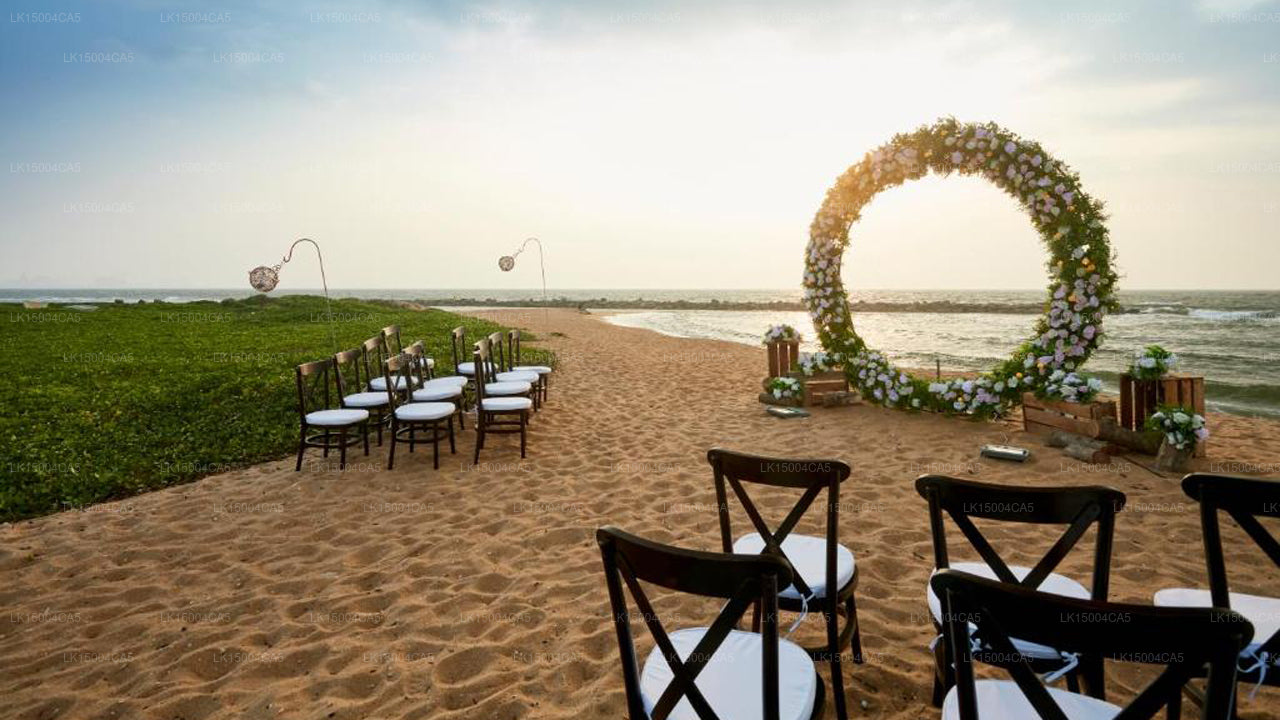 Pegasus Reef Hotell, Wattala