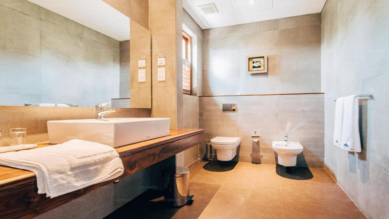 Palmyrah-huset, Mannar