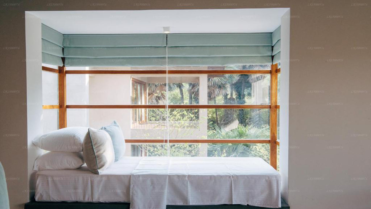 Palmyrah-huset, Mannar