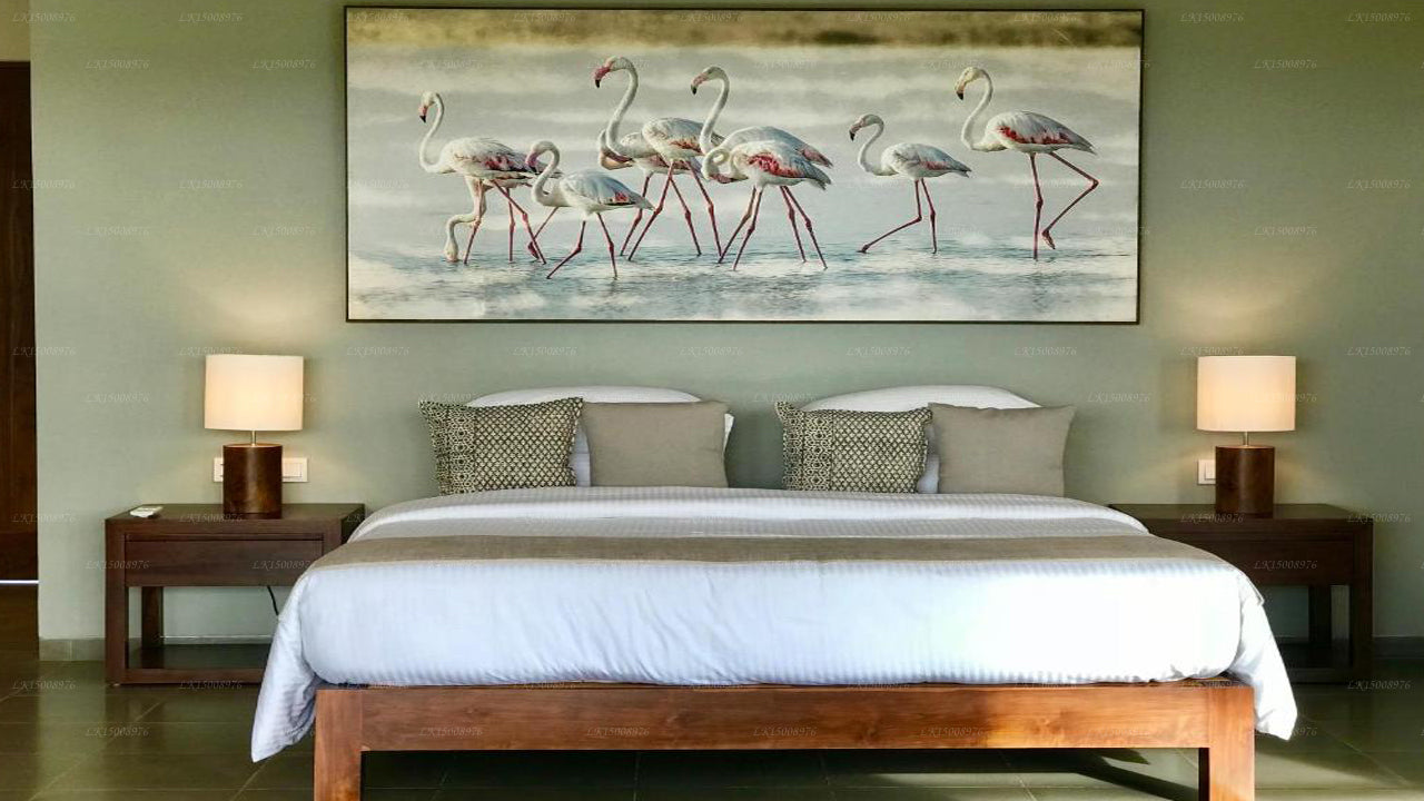 Palmyrah-huset, Mannar