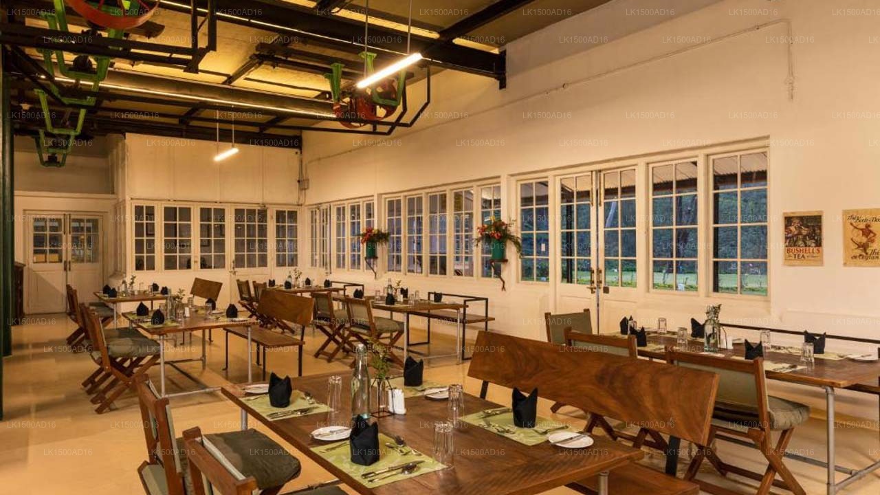 Tea & Experience Factory, Mandaram Nuwara