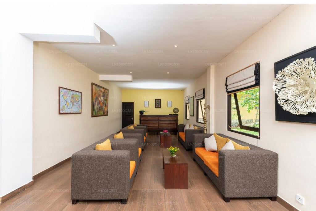 Melheim Kandy Villor, Kandy