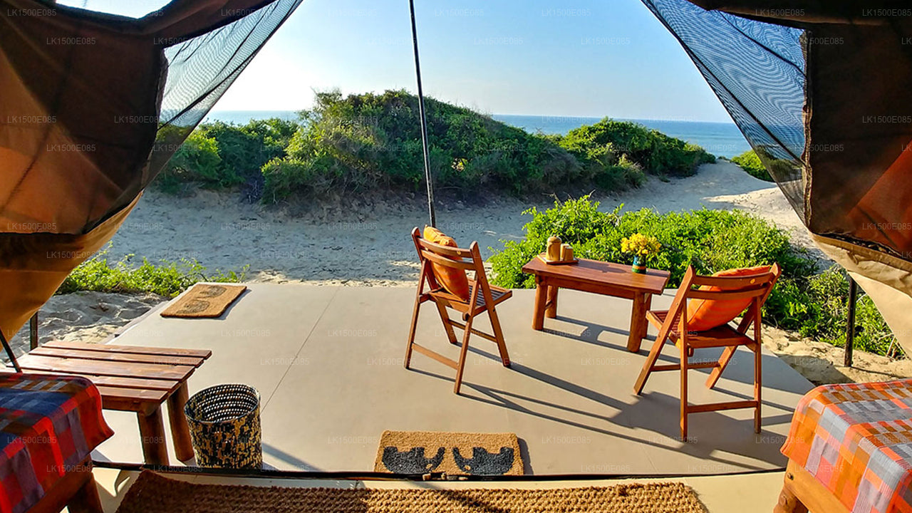 Baksidan av Beyond - Safari Lodge, Yala