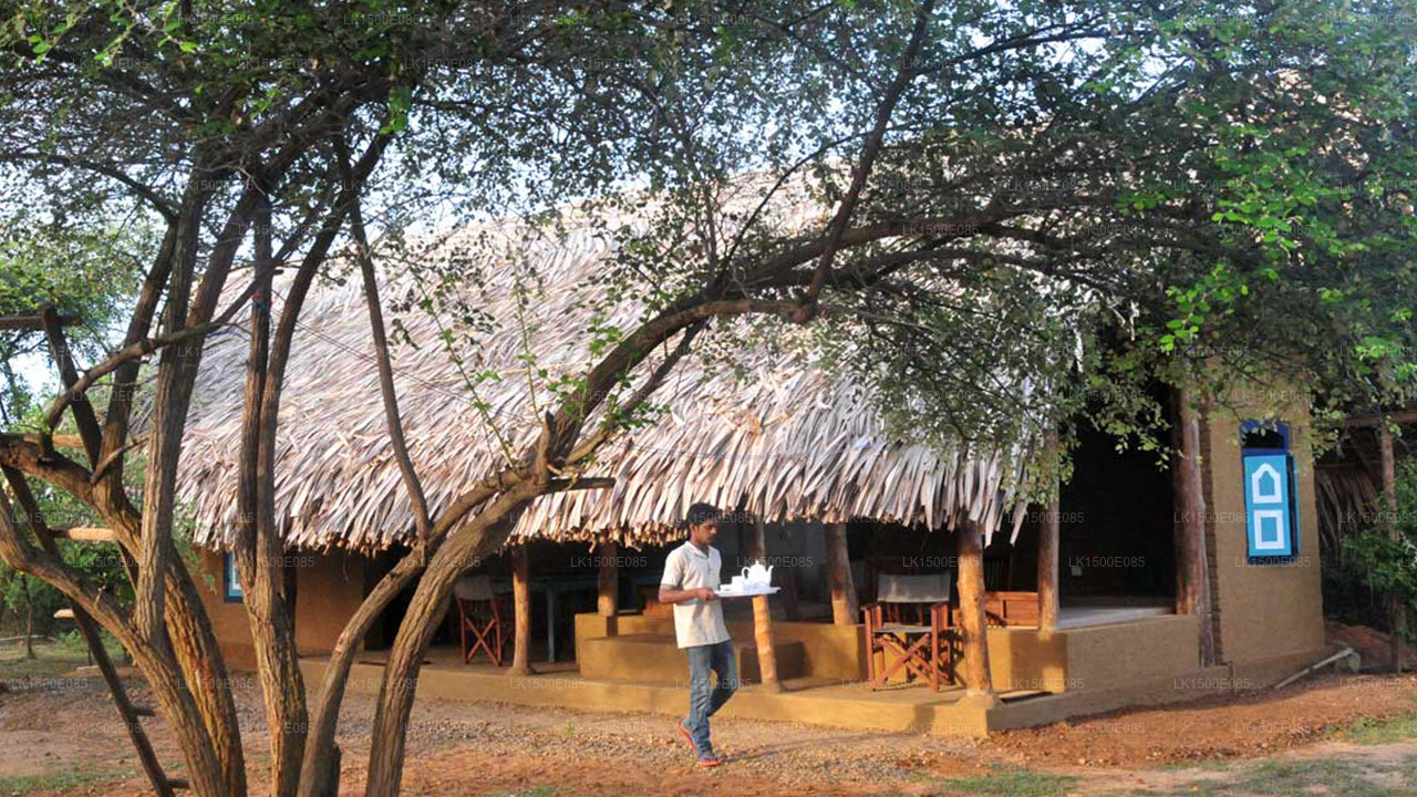Baksidan av Beyond - Safari Lodge, Yala