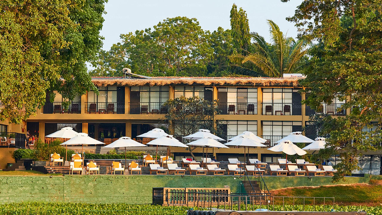 Baksidan av Beyond - Safari Lodge, Yala