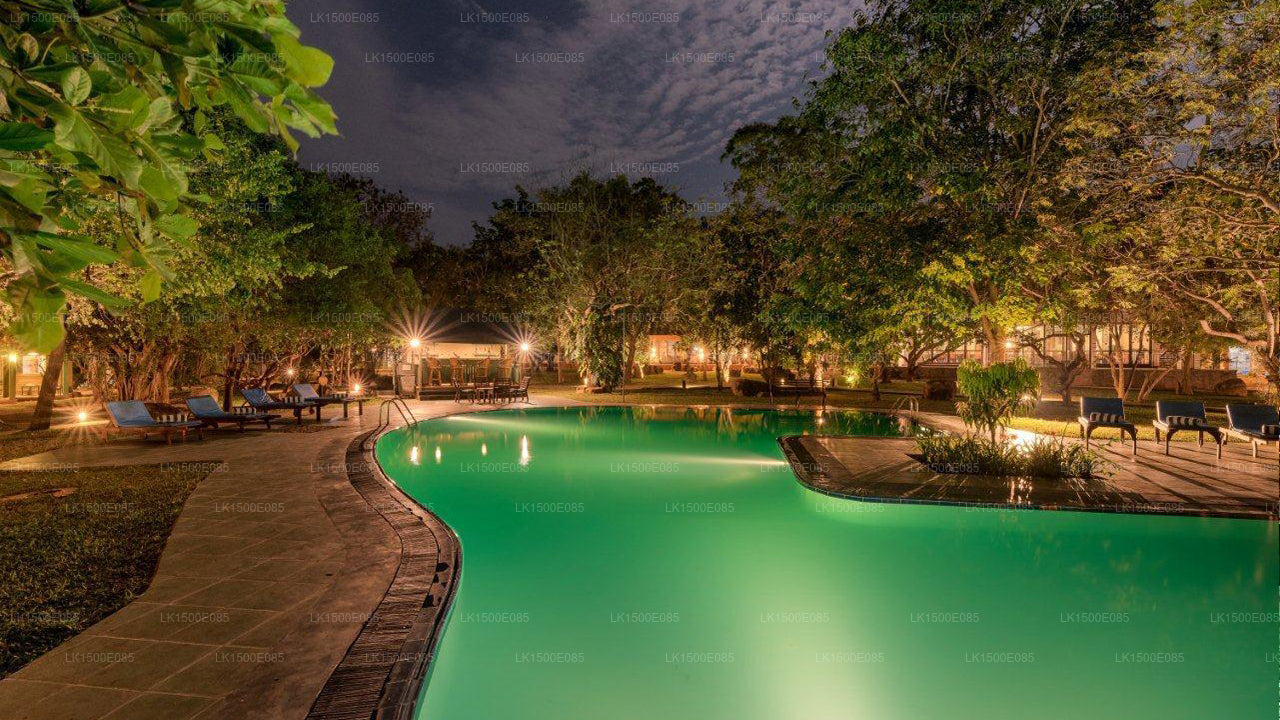 Baksidan av Beyond - Safari Lodge, Yala