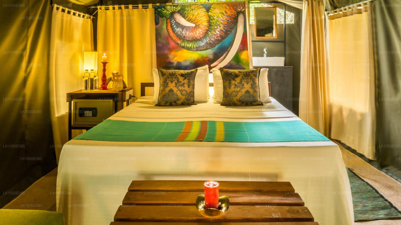 Baksidan av Beyond - Safari Lodge, Yala