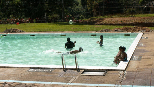 Kothmale Holiday Bungalow, Kothmale