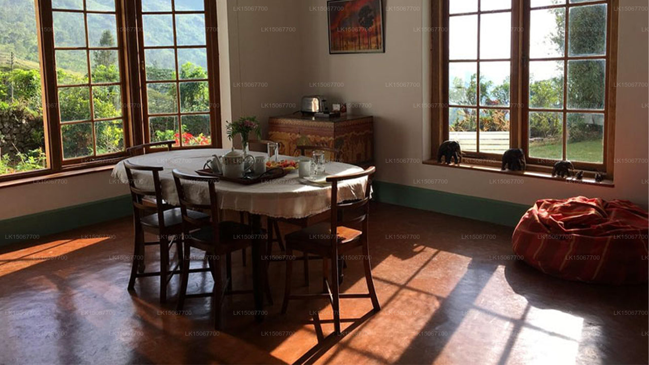 Marknadsföring, Haldummulla