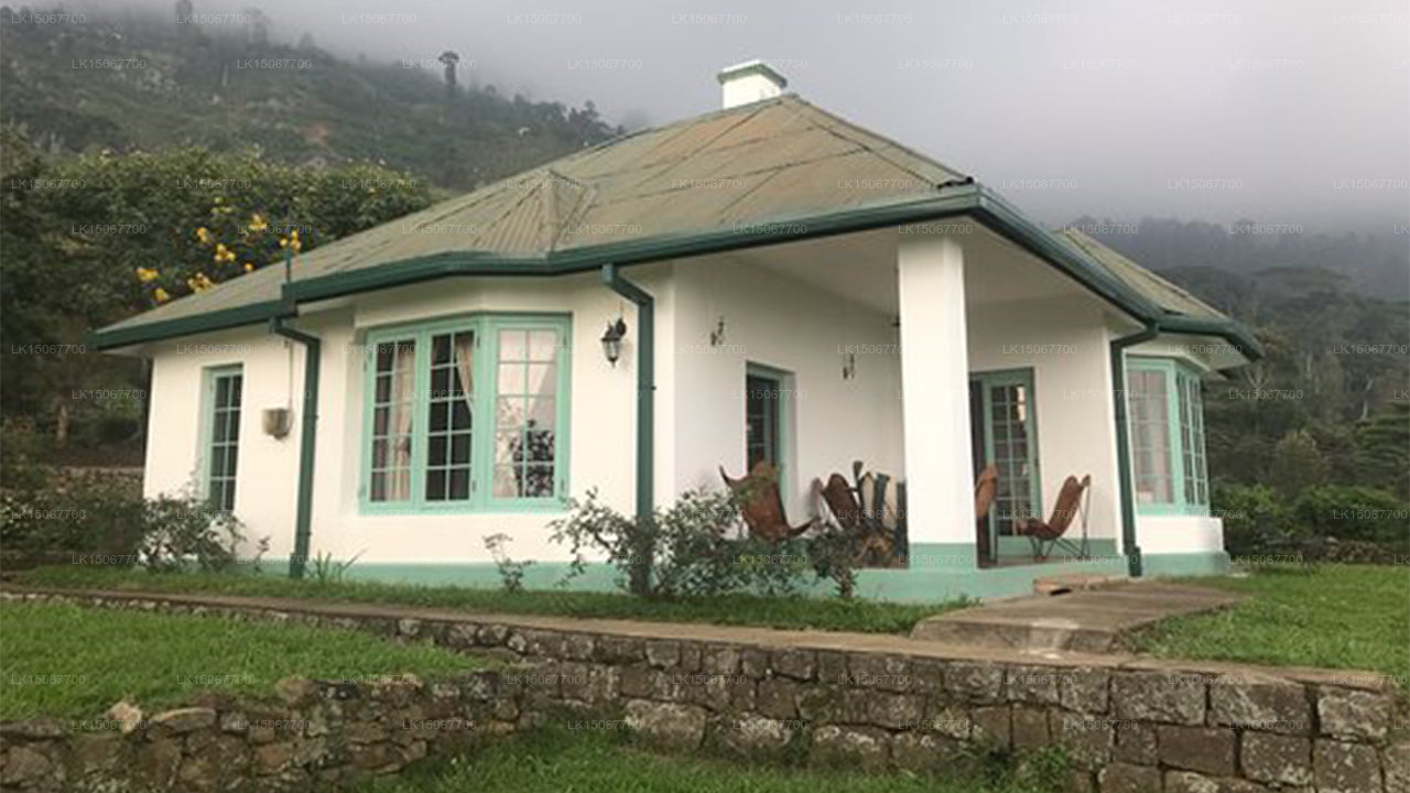 Marknadsföring, Haldummulla