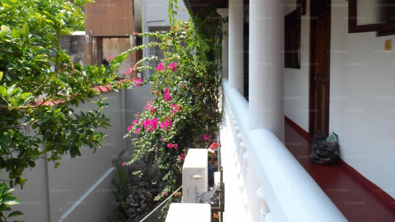 Villa Araliya Fort, Galle