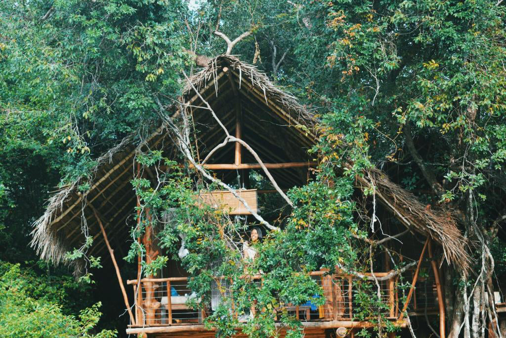 Back of Beyond - Wild Haven, Dehigaha Ela, Sigiriya