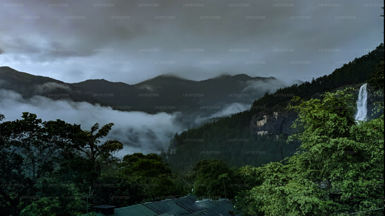 Bambarakanda Eco Holiday Resort, Haputale