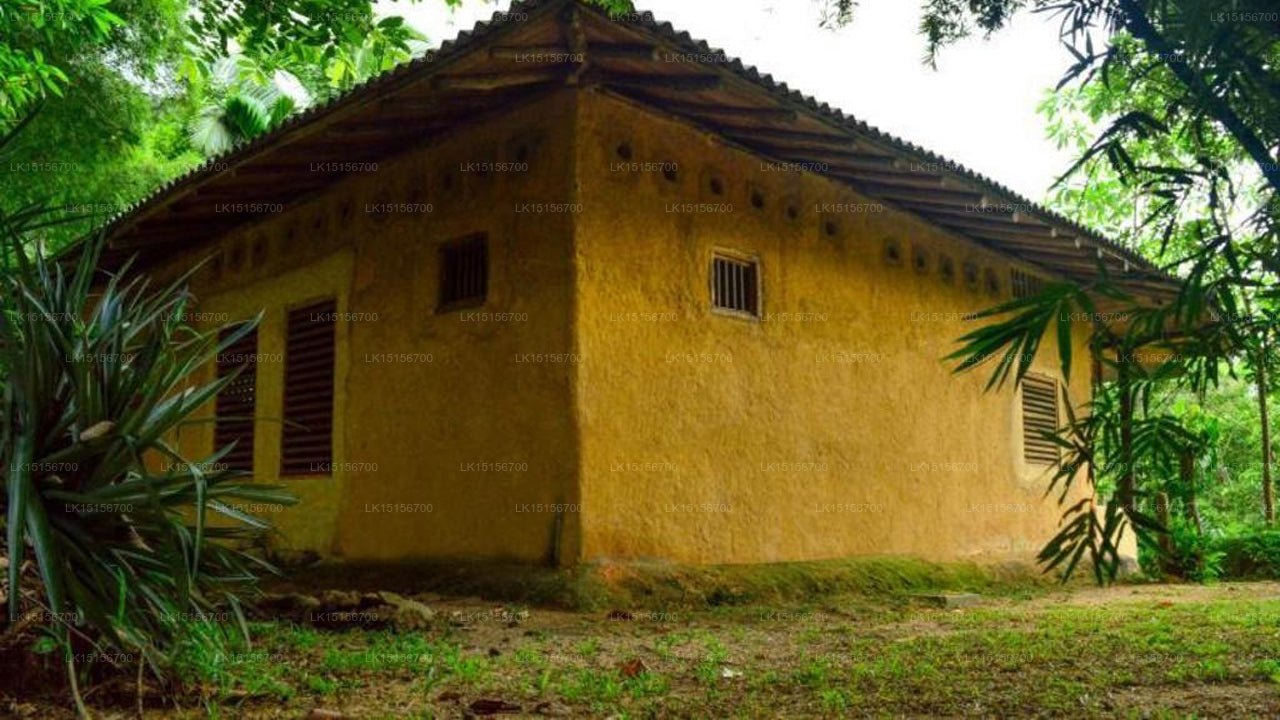 Sinharaja Seyana Eco Lodge, Galle