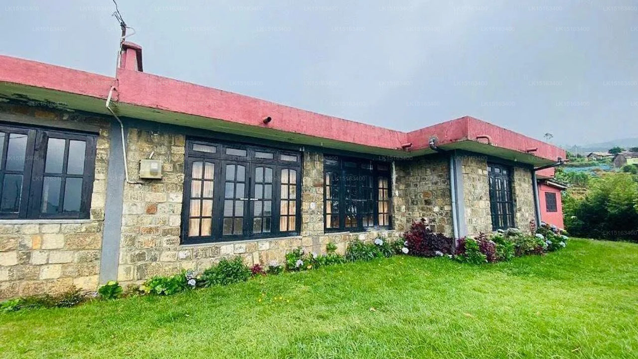 Misty Mountain Lodge,  Ohiya