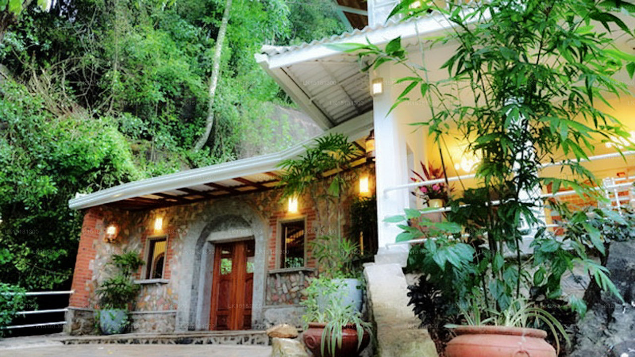 Skogskanten, Kitulgala