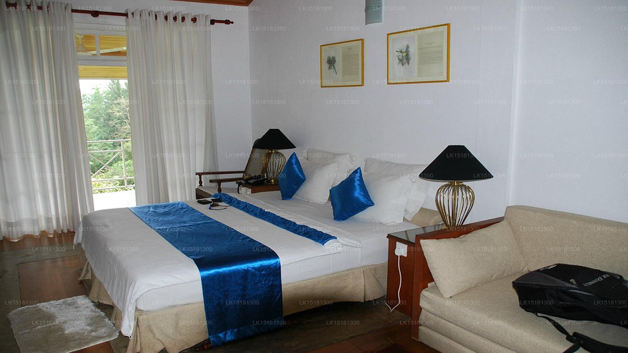 Skogskanten, Kitulgala