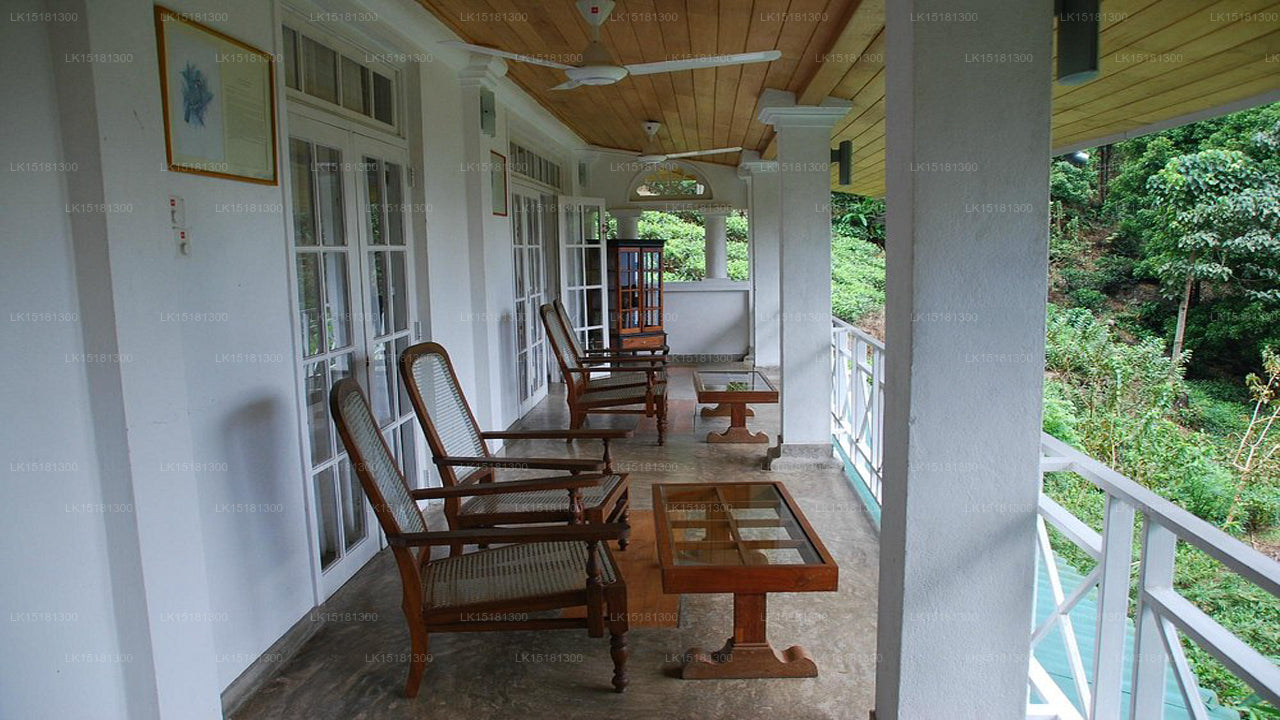 Skogskanten, Kitulgala