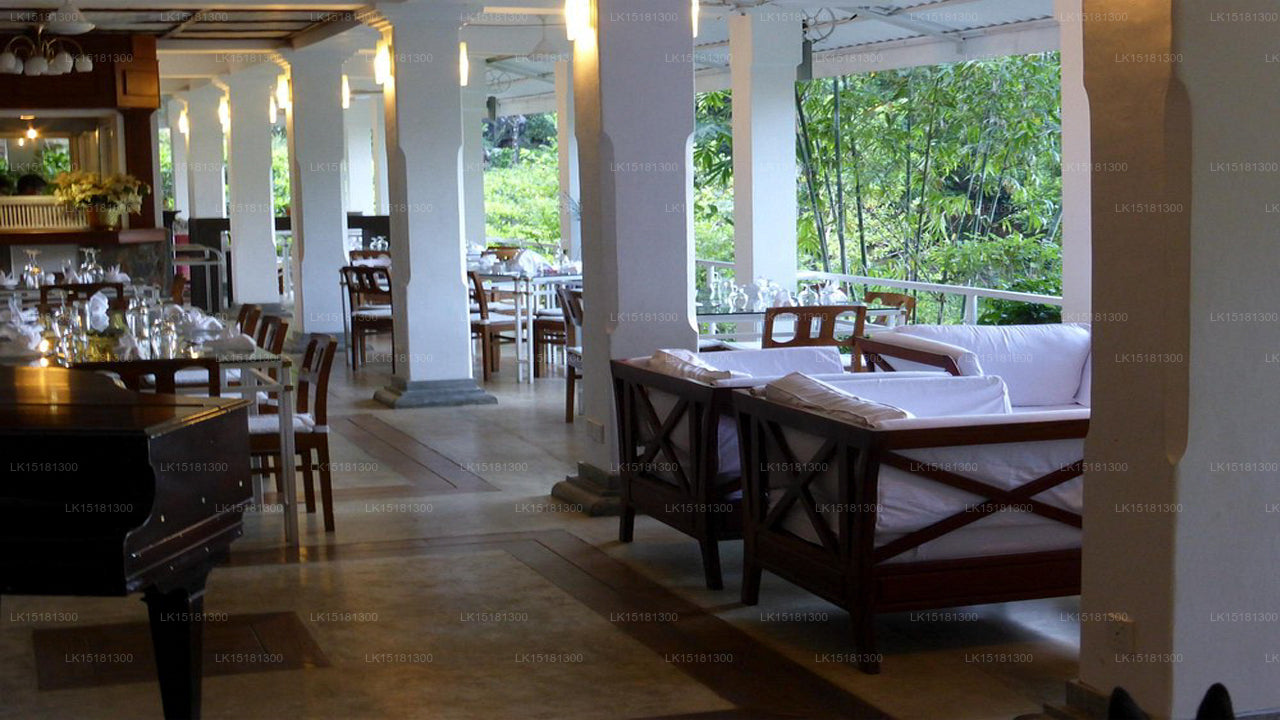 Skogskanten, Kitulgala