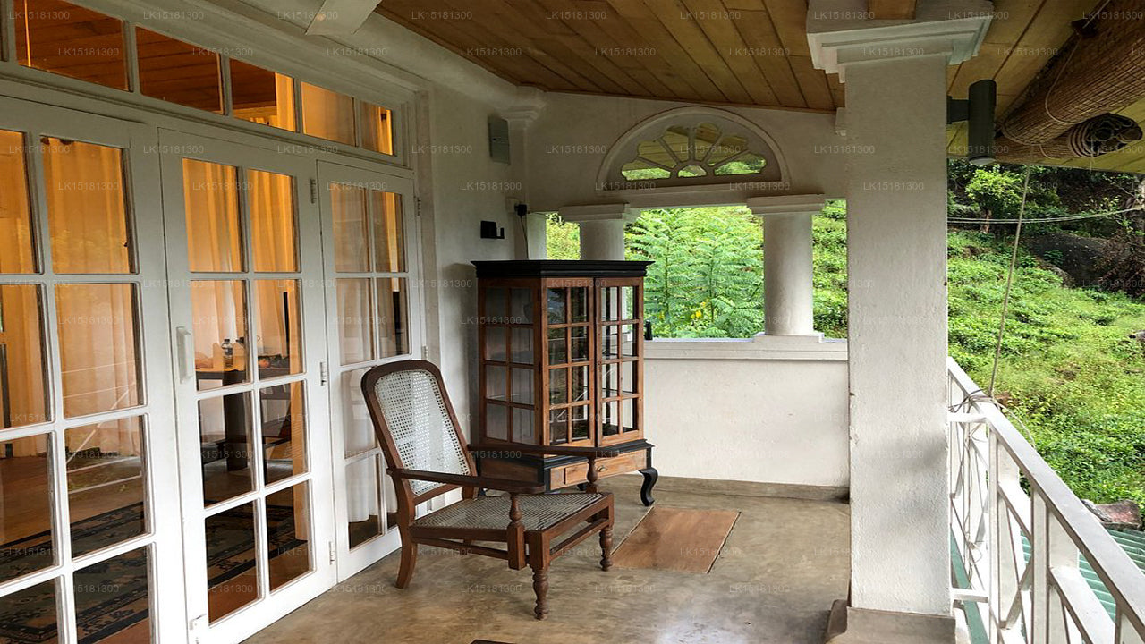 Skogskanten, Kitulgala