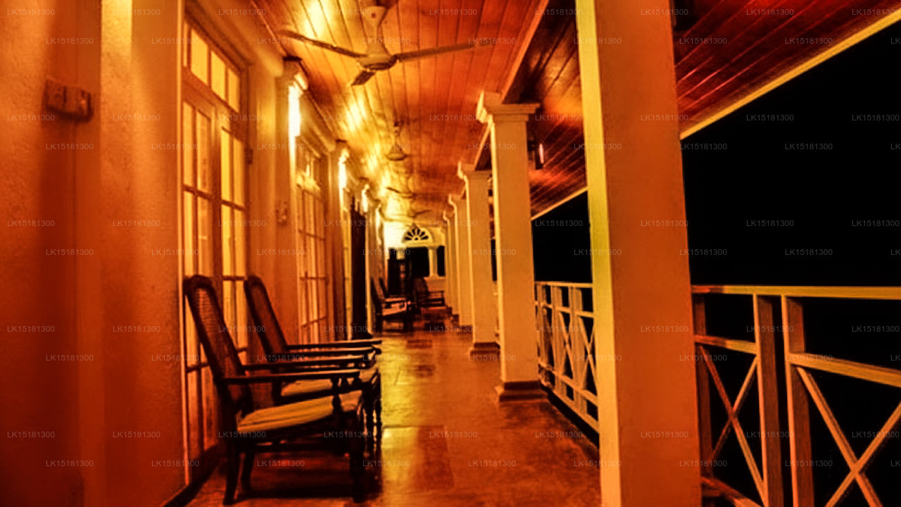 Skogskanten, Kitulgala