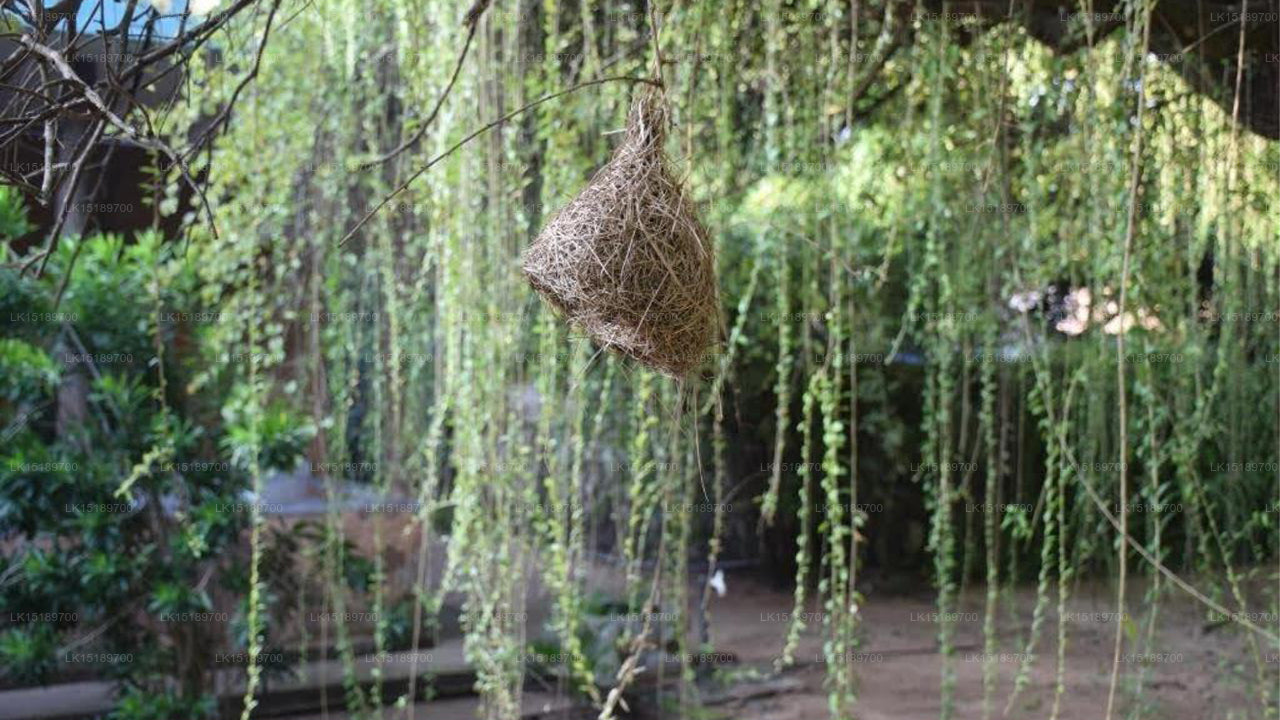 Clay Hut Village, Polonnaruwa