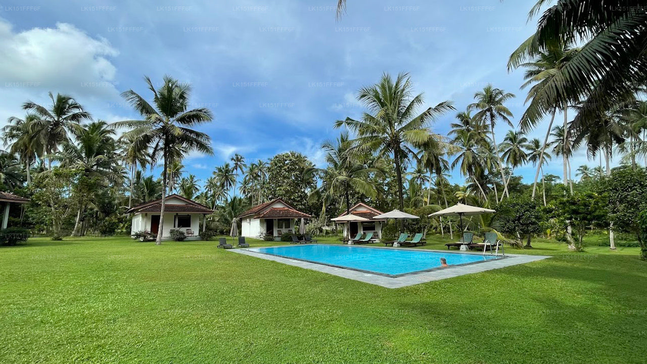 Ambarella Lodge - Katunayake