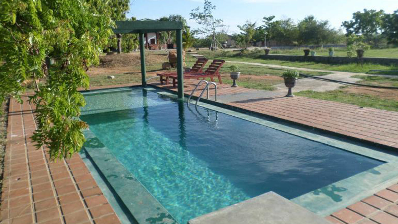 Crazy Peacock, Kirinda