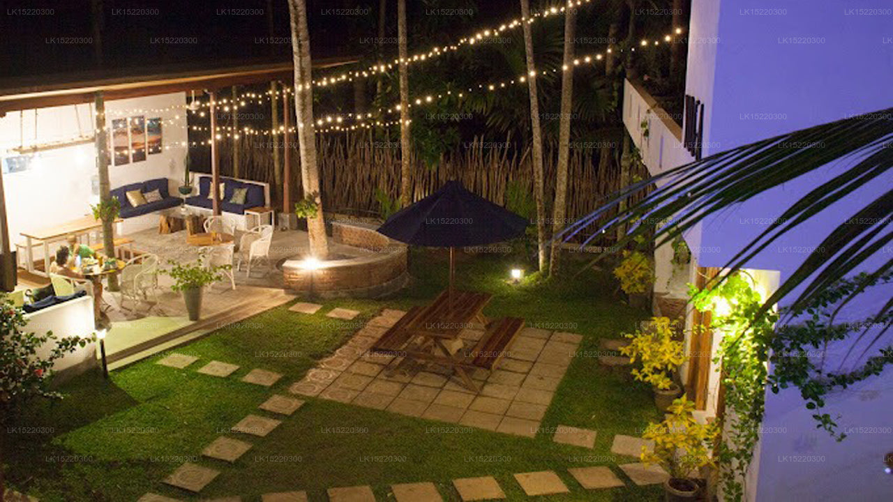 Salt House, Dikwella