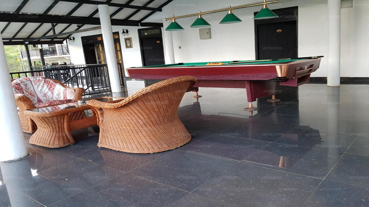 Forest Paradise, Ella