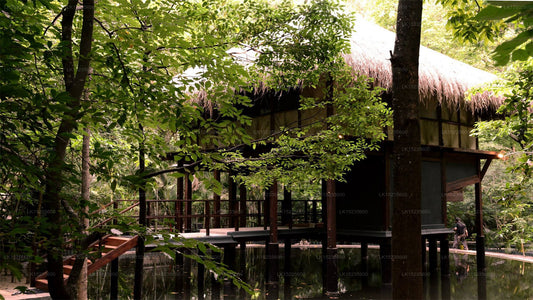 Diyabubula the Barberyn Art & Jungle Hideaway, Dambulla