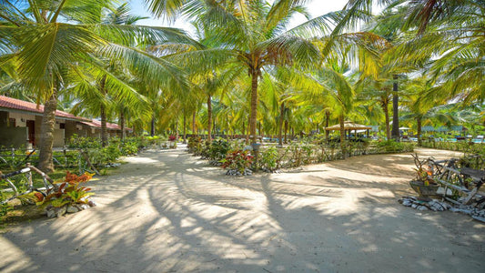 De Silva Palm Resort, Kalpitiya