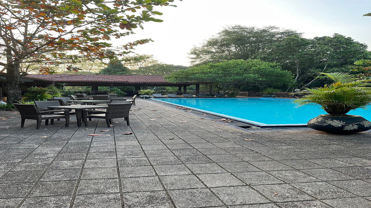 Homes Bungalow by Tree of Life, Kandy