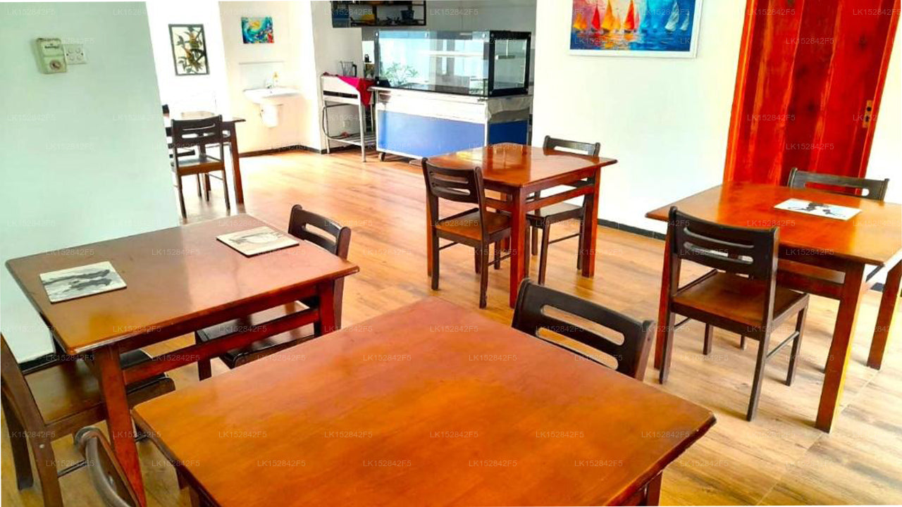 Sea Breeze Hotel, MIrissa