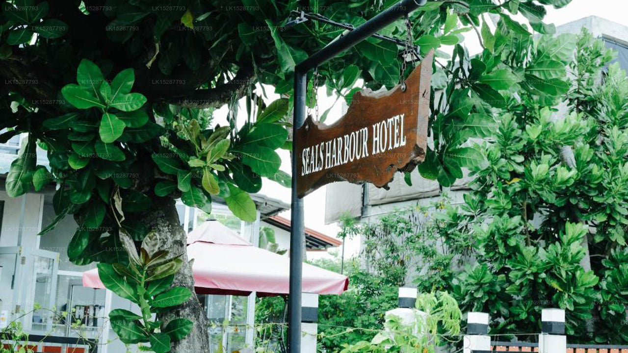 Seals Harbor Hotel, Weligama