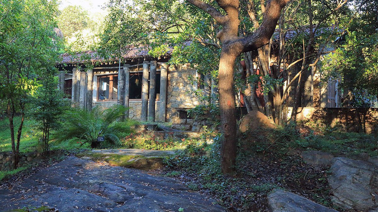 Pophams arboretum, Dambulla