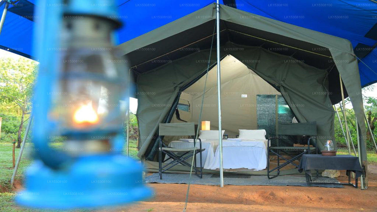 Eco Team Safari Camps, Yala