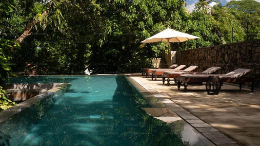 New Old Dutch House, Galle